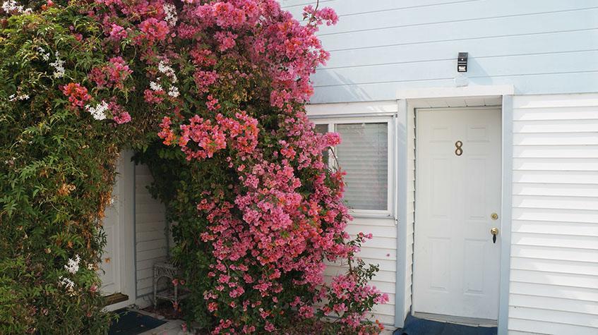 Stinson Beach Motel Exteriér fotografie